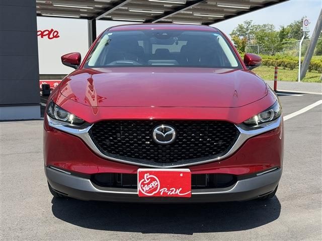 CX-30