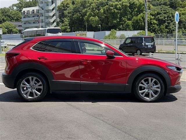 CX-30