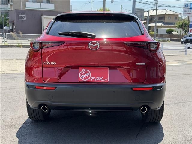 CX-30