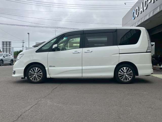 SERENA  S-HYBRID
