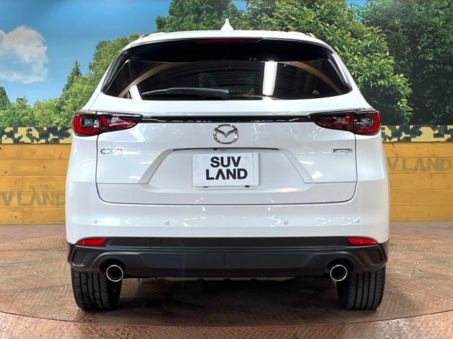 CX-8