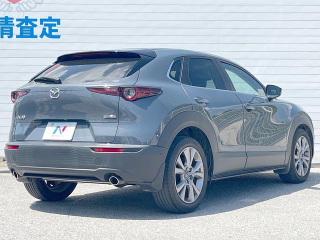 CX-30