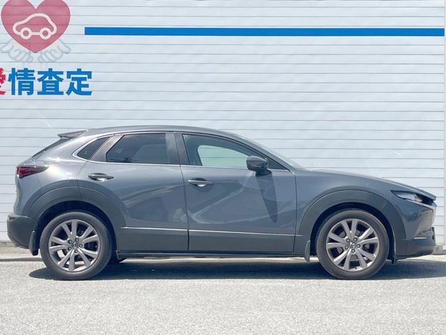 CX-30