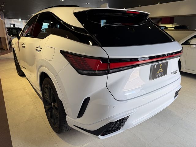 LEXUS RX500h