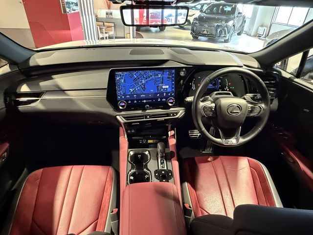 LEXUS RX500h