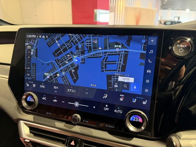 LEXUS RX500h