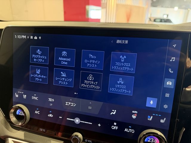 LEXUS RX500h