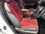 LEXUS RX500h