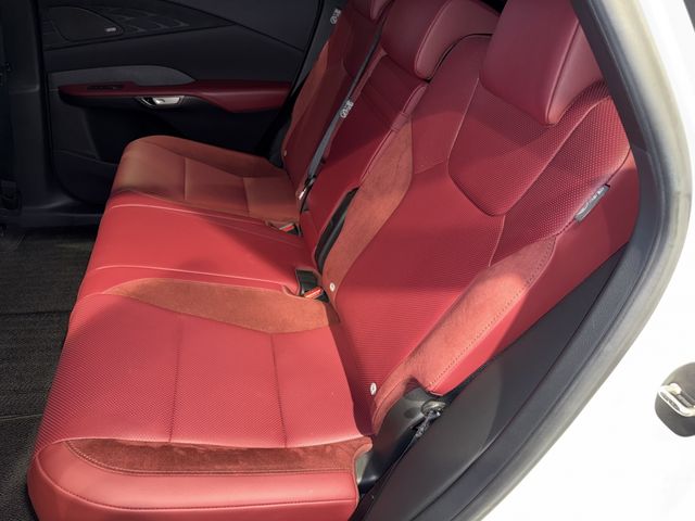 LEXUS RX500h