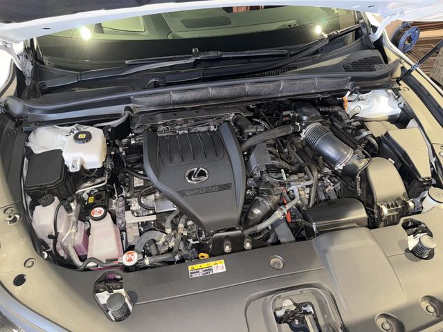 LEXUS RX500h
