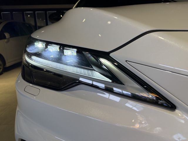 LEXUS RX500h