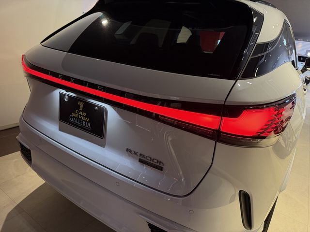 LEXUS RX500h