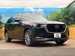 CX-80