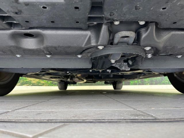 NOAH
