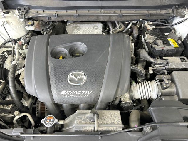 CX-8