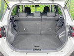 RAIZE