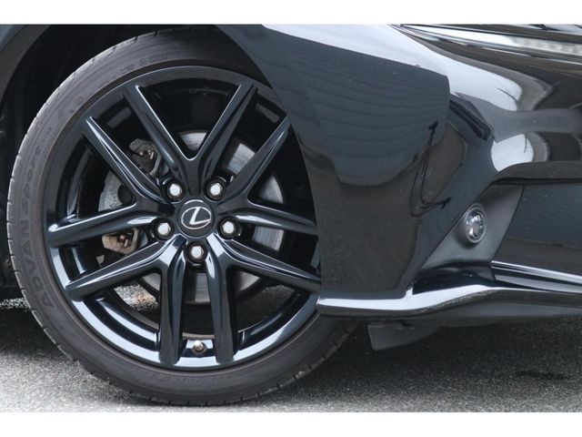 LEXUS IS300h