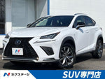 LEXUS NX300h AWD