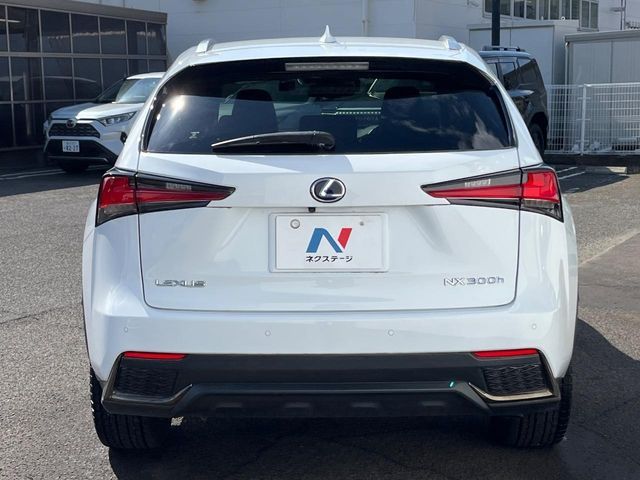 LEXUS NX300h AWD