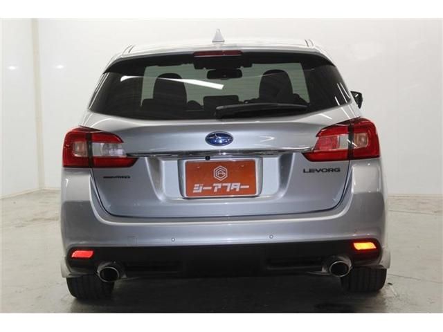 LEVORG