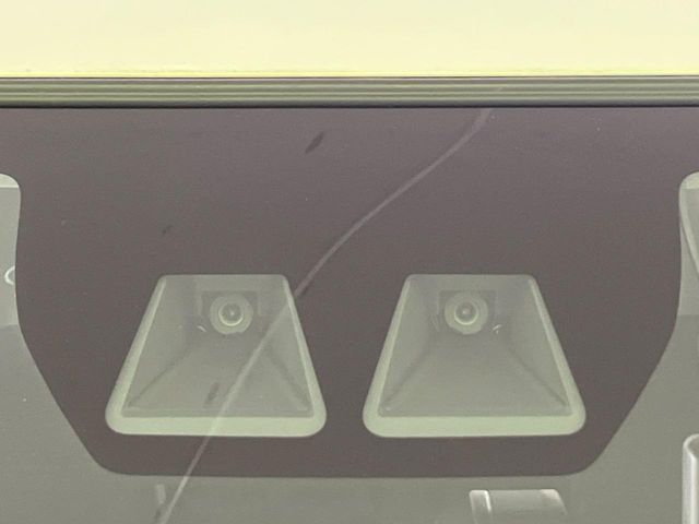 TANTO FAN CROSS 4WD