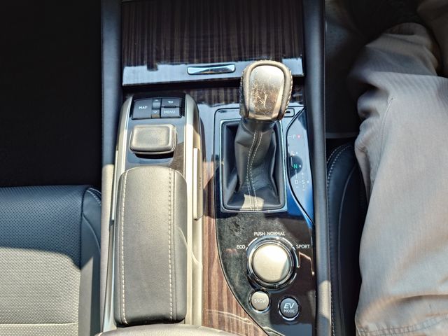 LEXUS GS300h