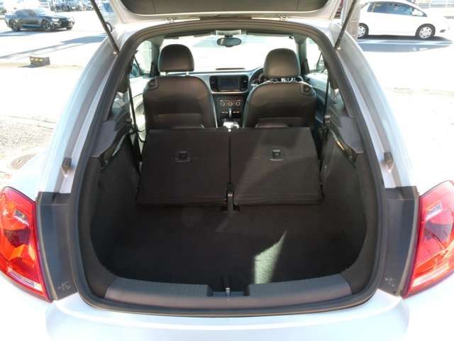 VOLKSWAGEN The BEETLE