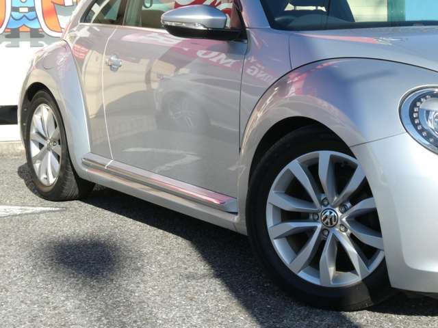 VOLKSWAGEN The BEETLE