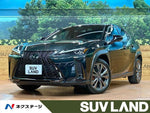 LEXUS UX250h
