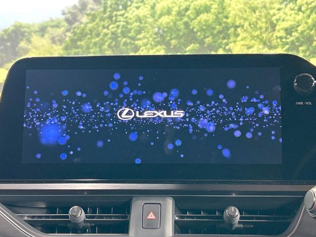 LEXUS UX250h
