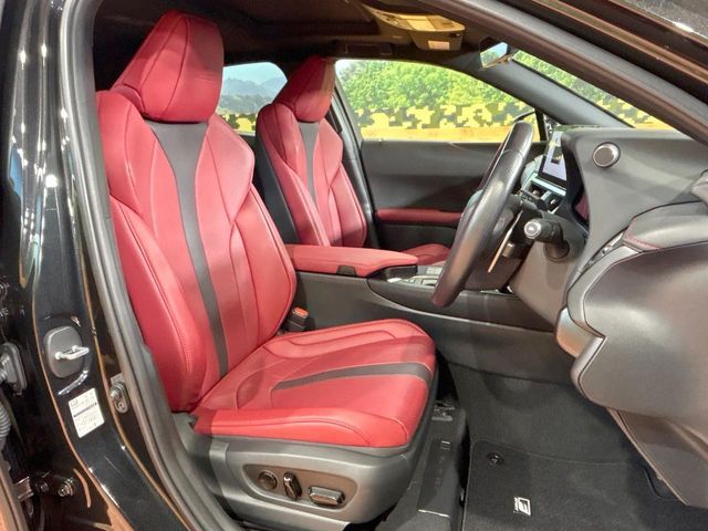 LEXUS UX250h
