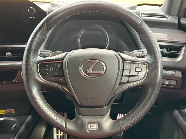LEXUS UX250h
