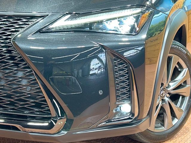 LEXUS UX250h