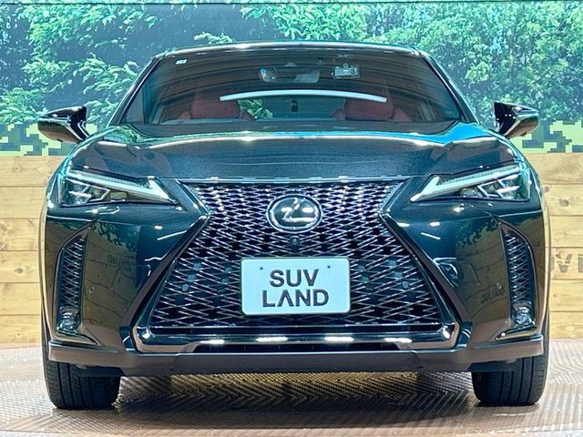 LEXUS UX250h