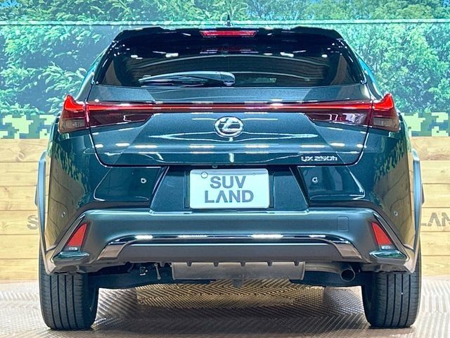 LEXUS UX250h