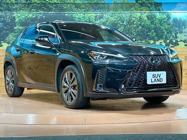 LEXUS UX250h