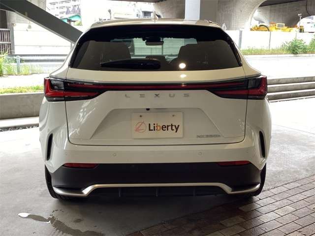 LEXUS NX350h