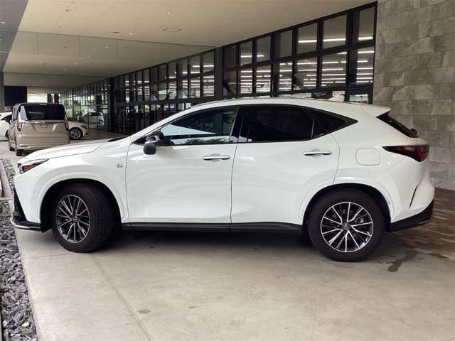 LEXUS NX350h