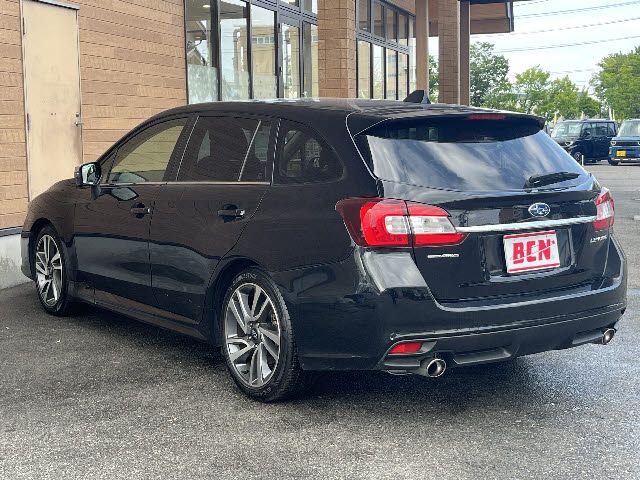 LEVORG