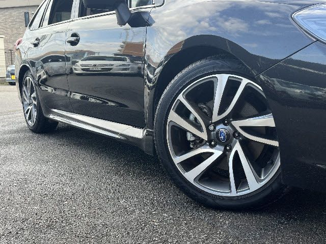 LEVORG