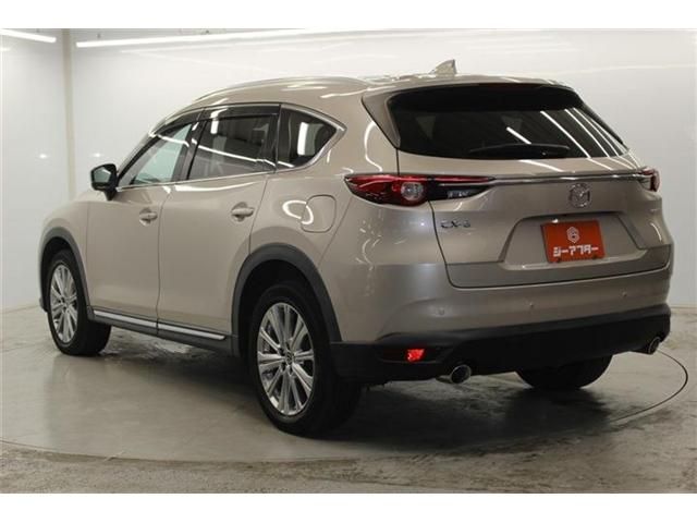 CX-8