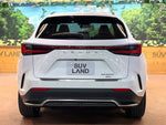 LEXUS NX350h AWD