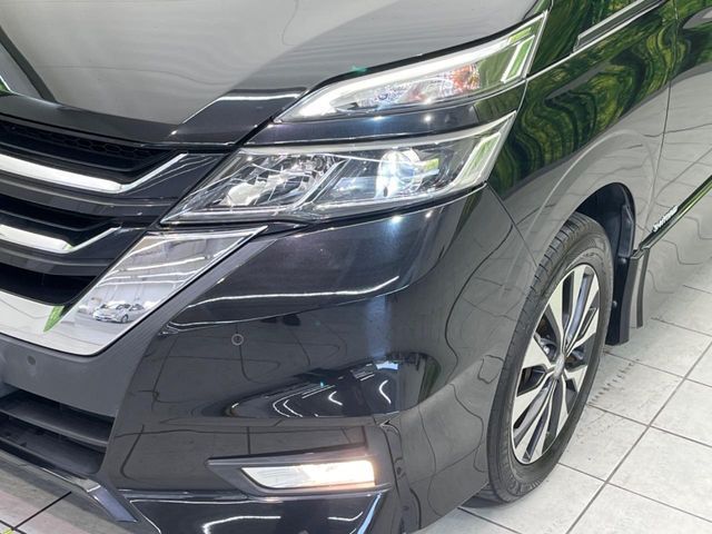 SERENA  S-HYBRID