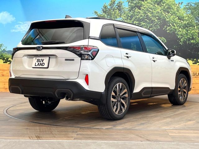 FORESTER