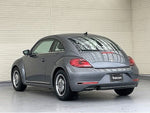 VOLKSWAGEN The BEETLE