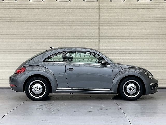 VOLKSWAGEN The BEETLE