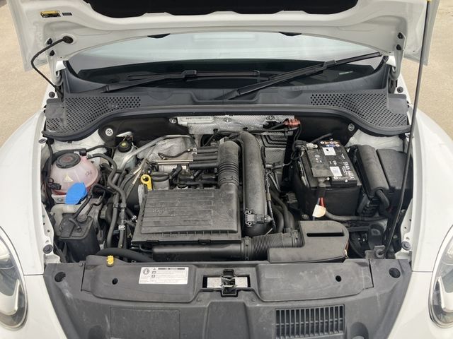 VOLKSWAGEN The BEETLE