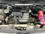 ALTO LAPIN