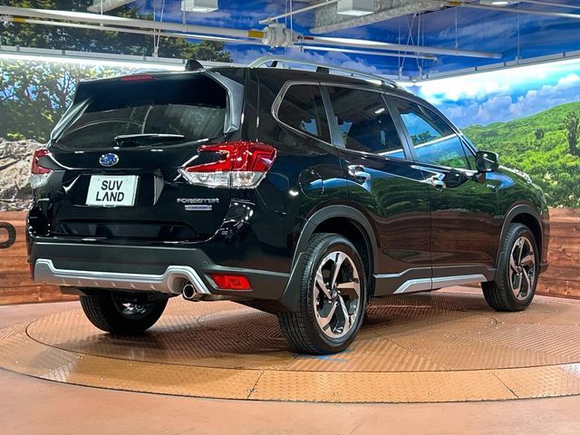 FORESTER