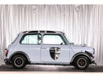 ROVER MINI